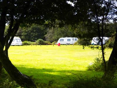 Longbeech Camping Longbeech Campsite, Fritham, Hampshire SO43 7HH
