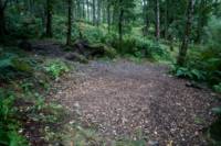 Woodland Tent Pitch 12 (3.5m x 3.5m)