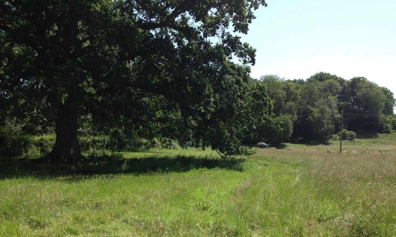 Campsites in South East England holidays at I Love This Campsite