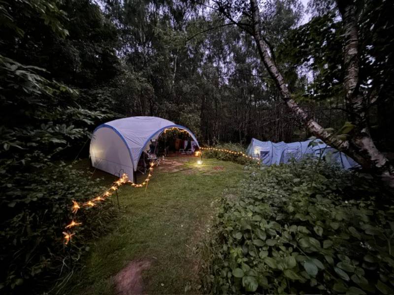 Double Forest Tent Pitch