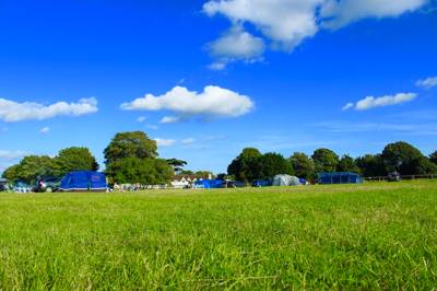 Grass pitch