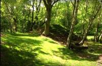 Wills Pitch