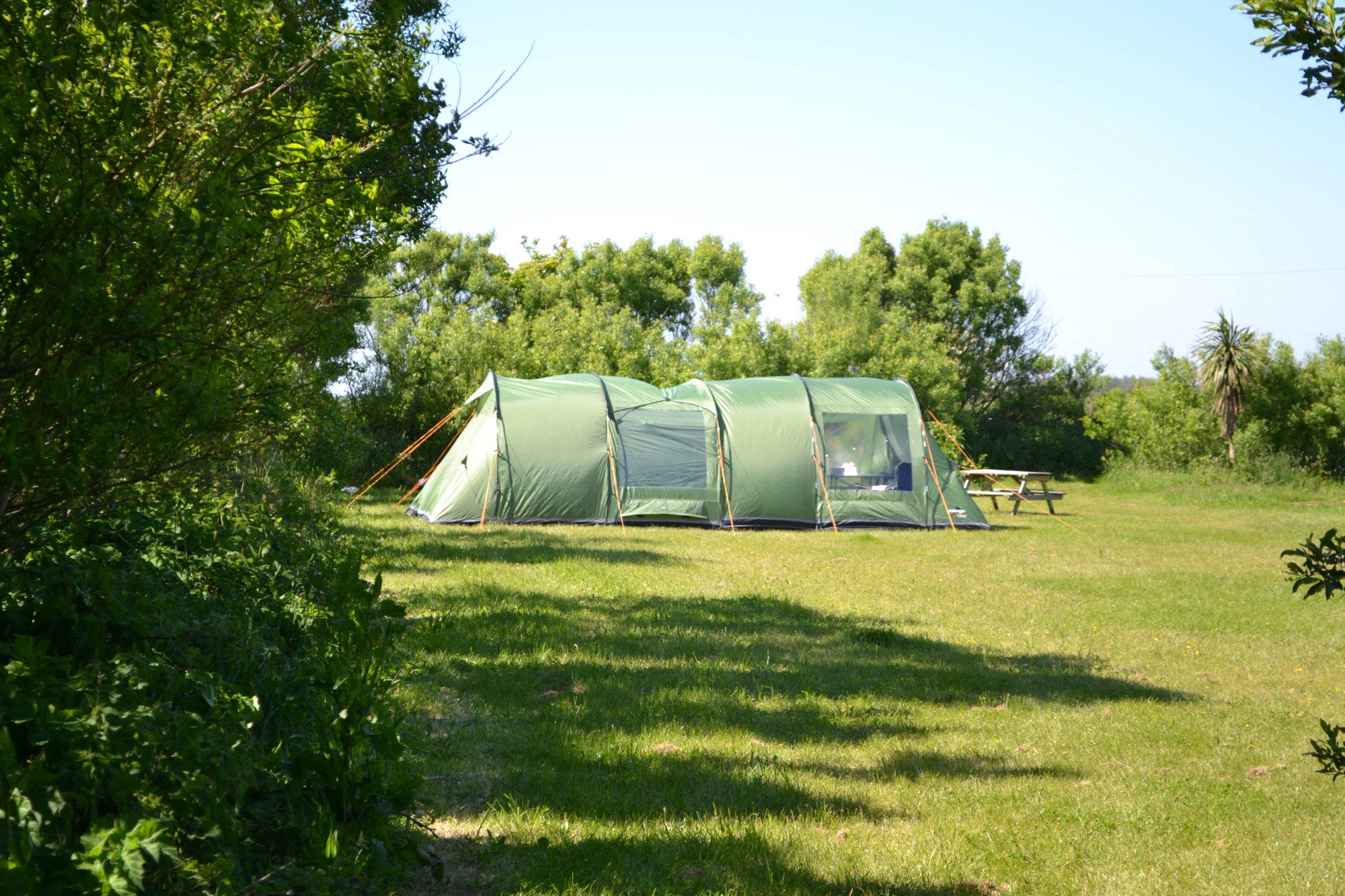 Spring Meadow Farm
