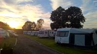 Tent Pitch (electric optional)