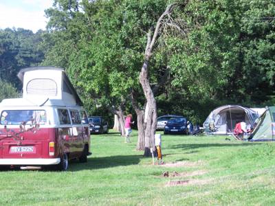 Electric pitch - Cider Mill 4x7m.