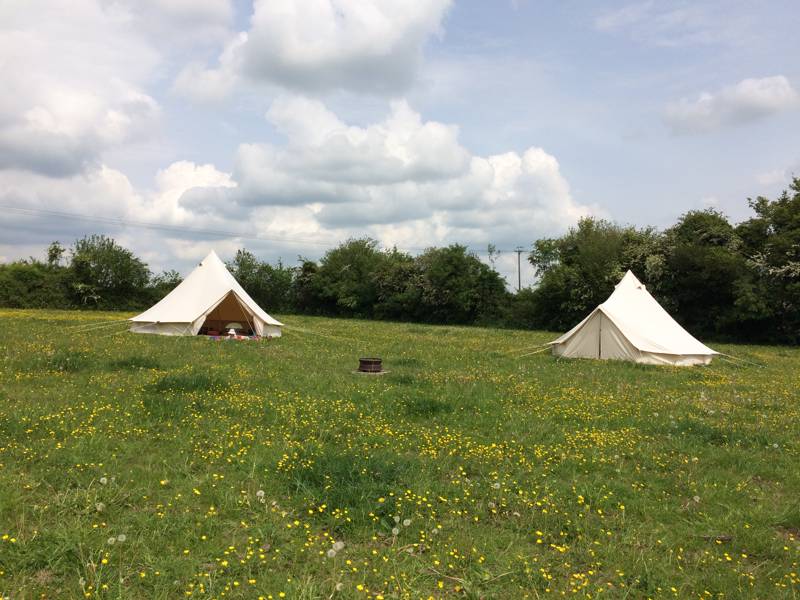 Maple Field Camping Martin, Fordingbridge, Hampshire SP6 3LR