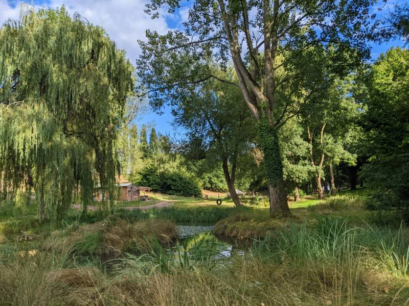 Willow View - Nearly-wild, woodland pitch