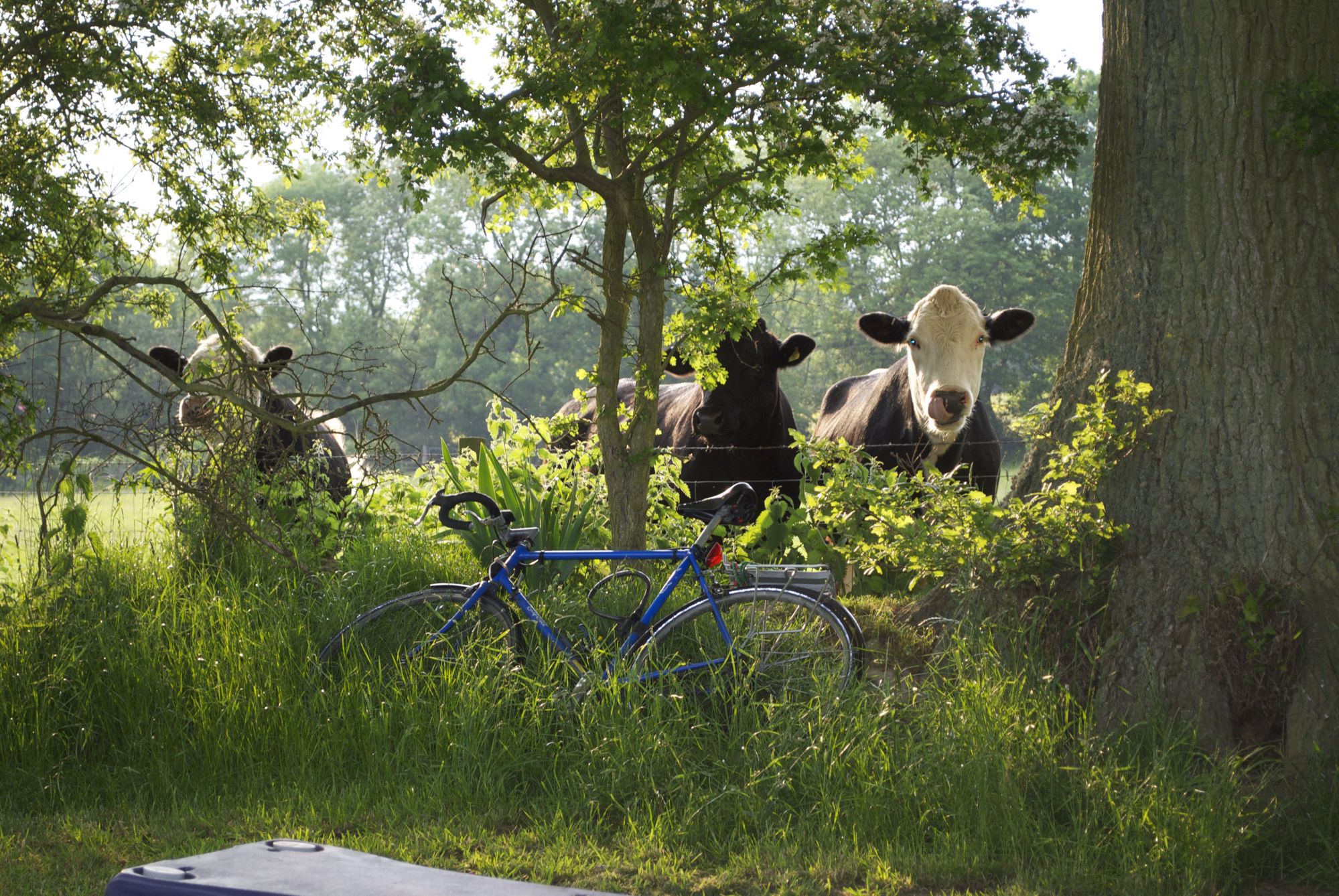 Campsites in the Shropshire Hills AONB