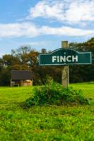 Finch - Ensuite Grass Pitch