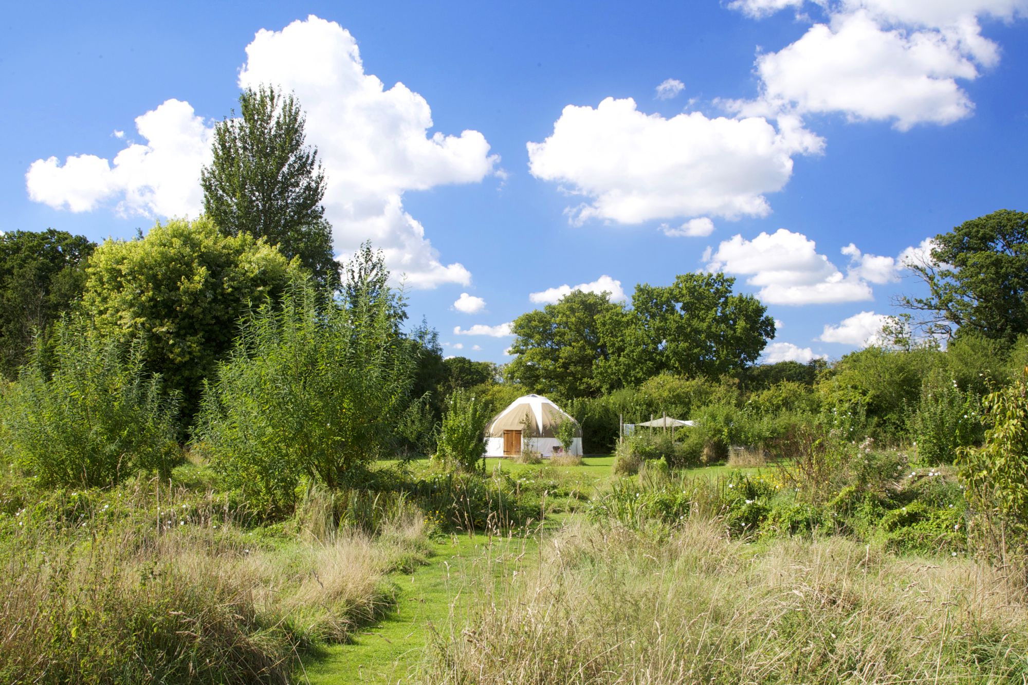 Campsites in Blandford Forum holidays at Cool Camping