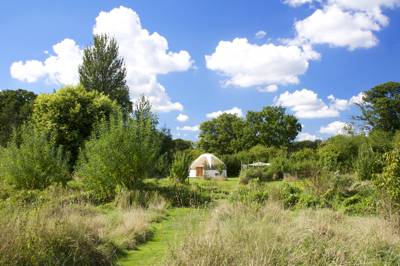 Glamping in Dorset: True organic, family glamping in a beautiful corner of the Dorset countryside. 