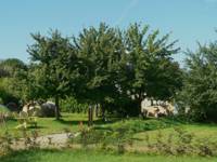 Camping Pitch