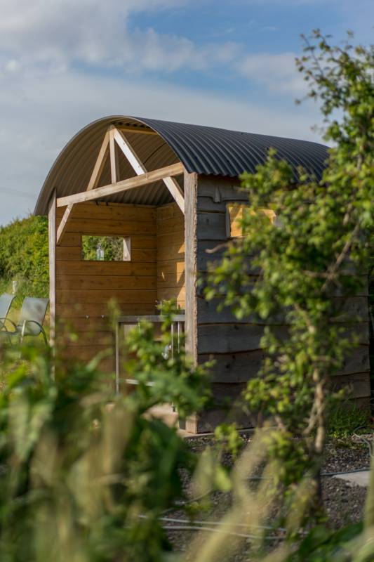 NonElectric Standard Grass Pitch