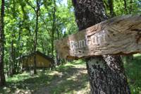 Bamburi, Woodland Safari Tent