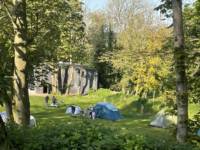 The Dell - small tent grass pitch