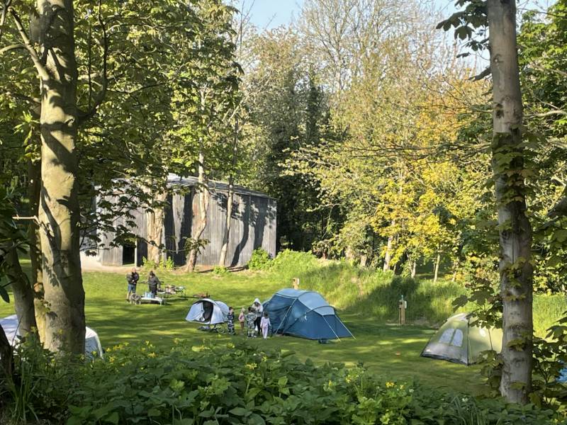 The Dell - small tent grass pitch