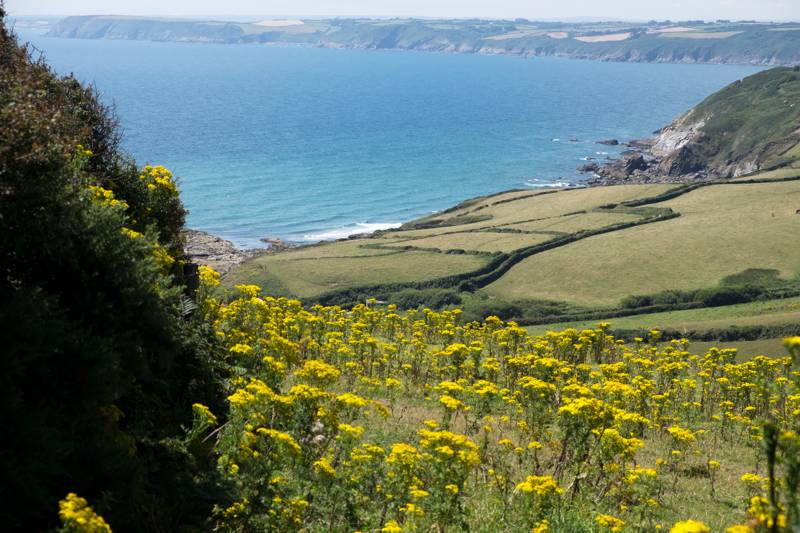 Trelispen Caravan & Camping Park Gorran, St Austell, Cornwall PL26 6NR