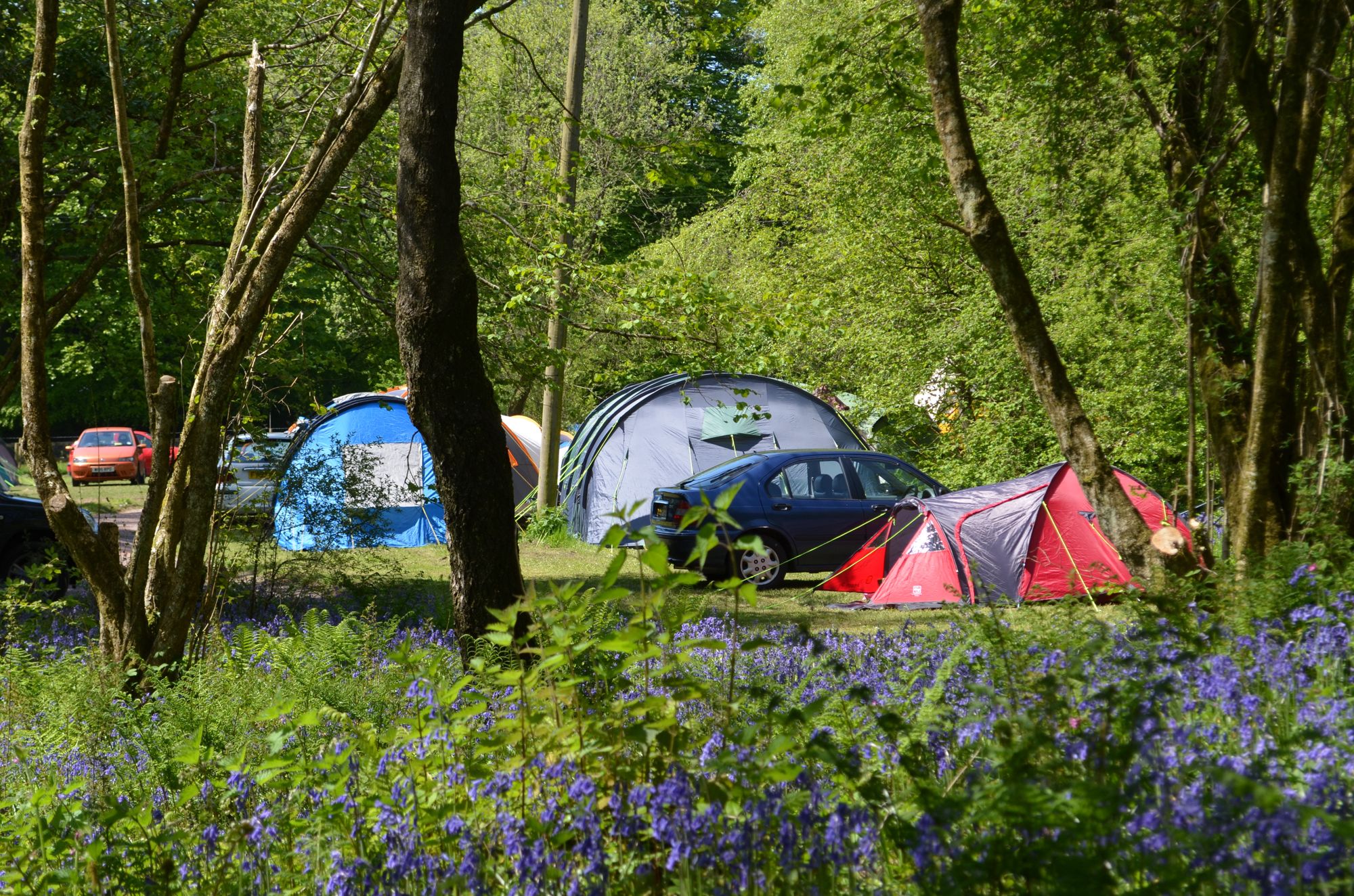 Glamping in Cabin – Cool Camping