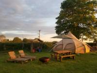 Lapwing 6M