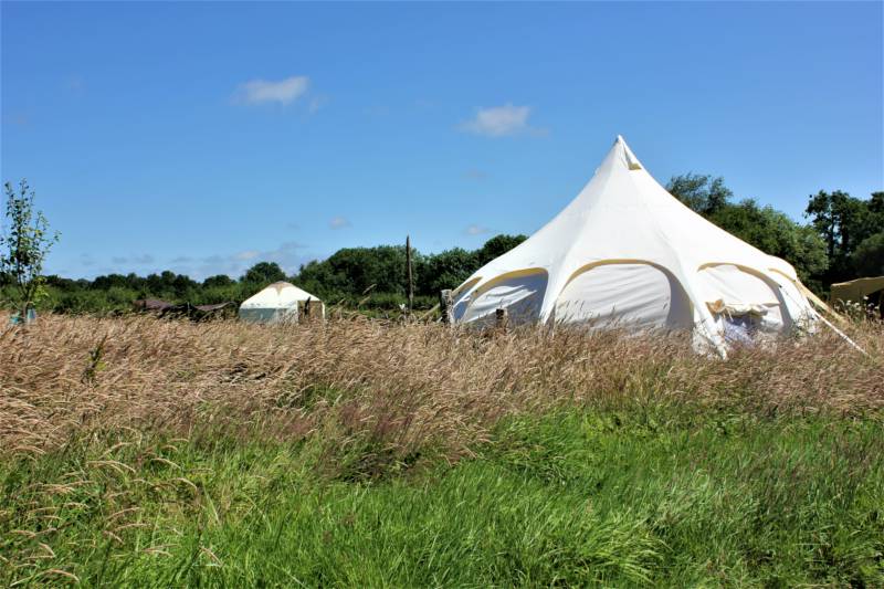 Lotus Belle Tent