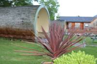 Wolfs Paw Glamping pod