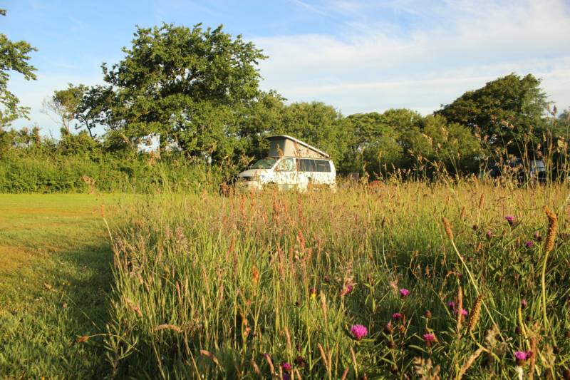 Grass Pitch 2 (optional electric hook-up)