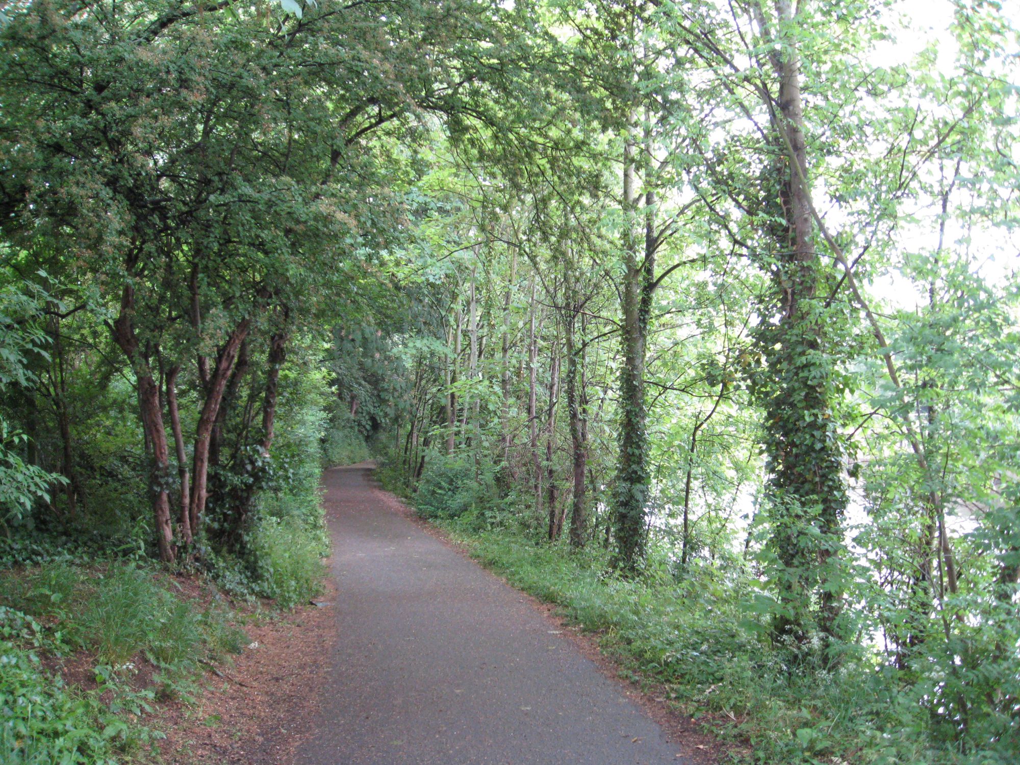 Bristol–Bath Railway Path, Bedfordshire | Cool Places