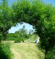 Camping Pitch