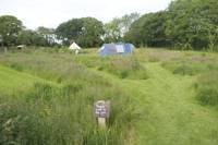 Grass Pitch