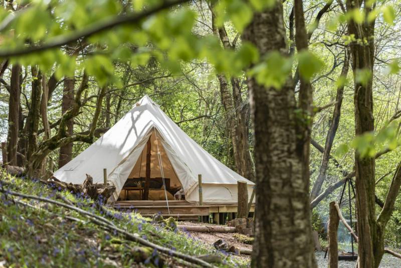 Cuddfan Bach - The Little Hideaway