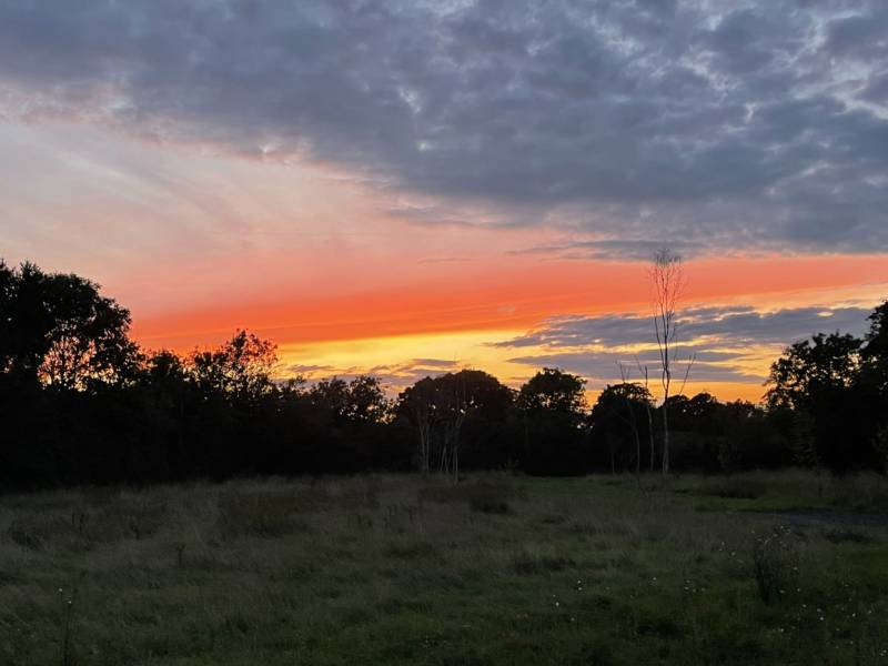 Standard Grass Pitch 8