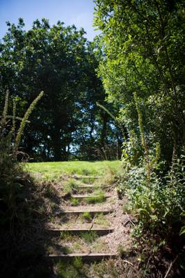 Railway 1 - Wild Camping - Private Pitch