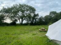 5m Bell tent with outdoor bed under a tree