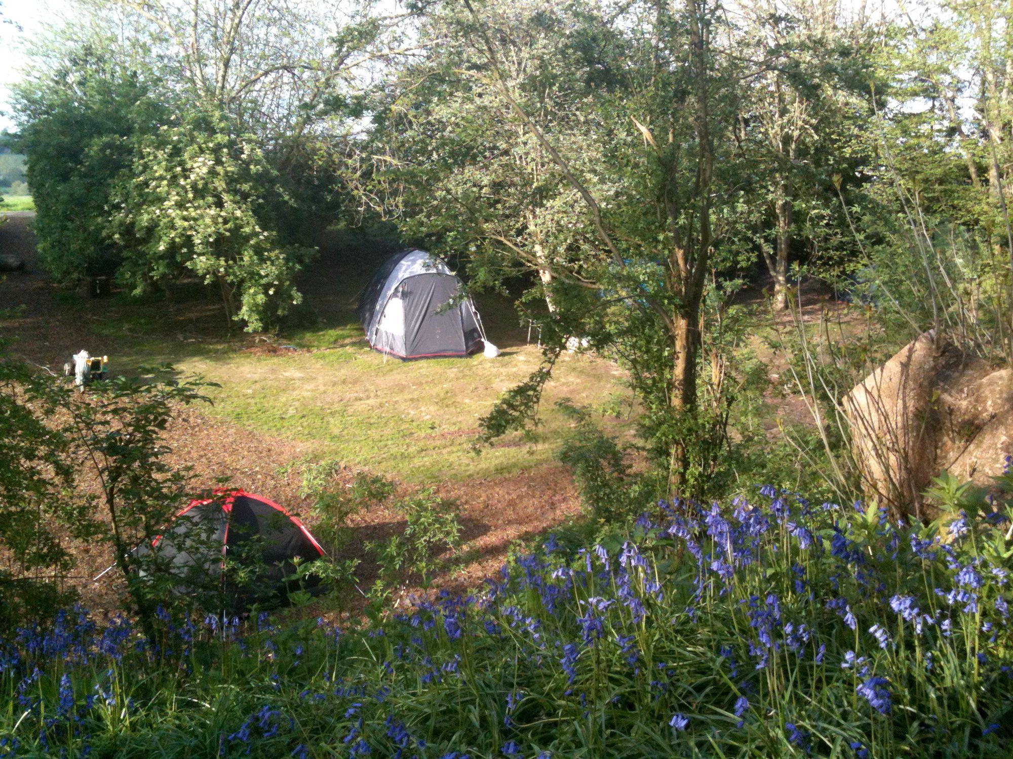 a secret, shady glade near an old castle may sound like the