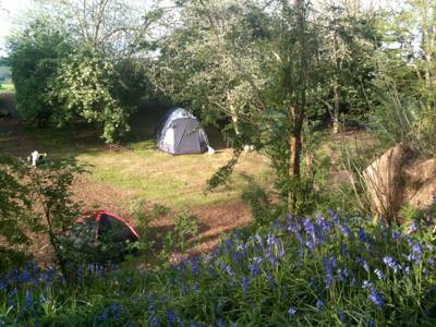Dogwood Cottage Camping Rye