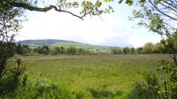 Grass Pitch