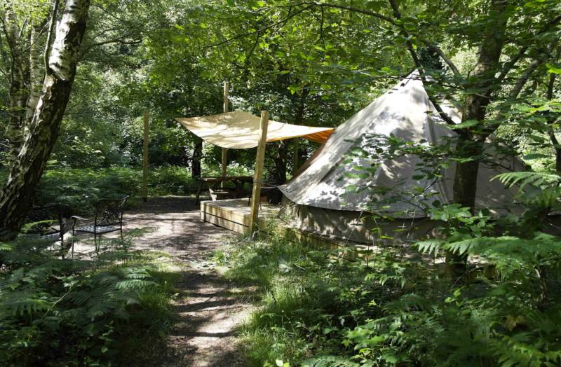 'Wild Glamping' Tent