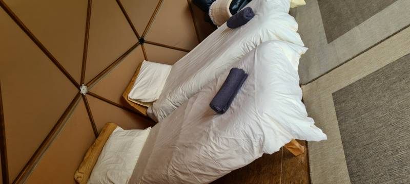 'The Hive'  Geo Dome