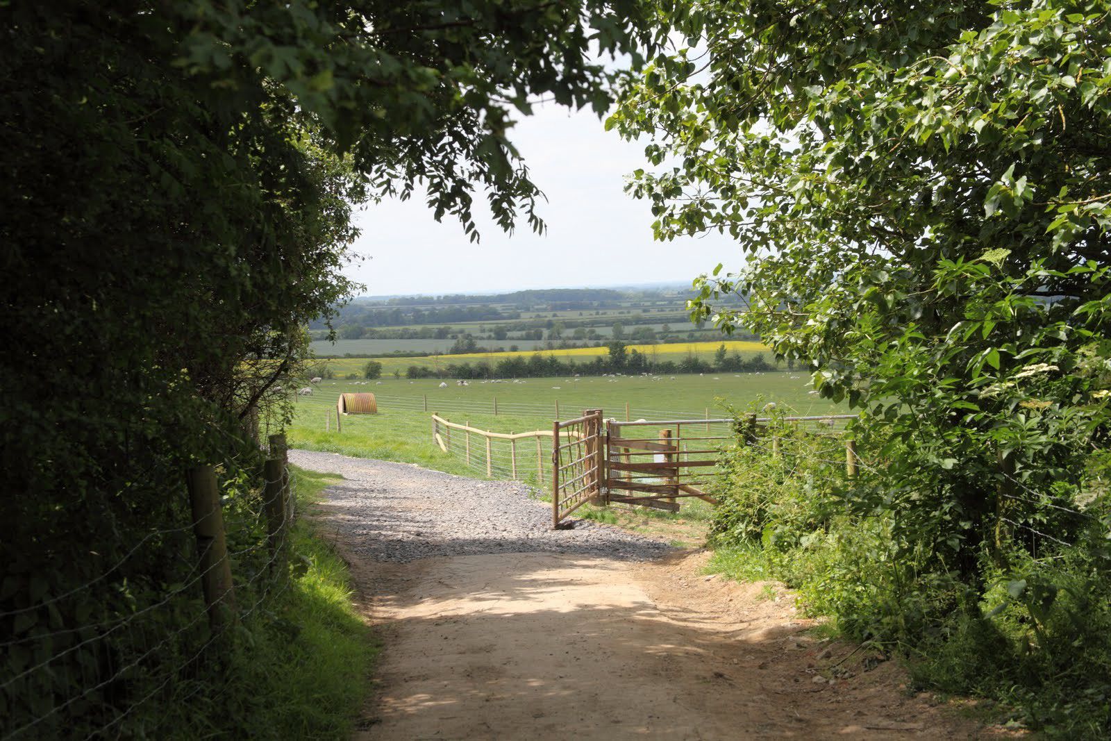 Campsites in Faringdon holidays at Cool Camping