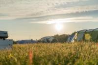 NonElectric Standard Grass Pitch
