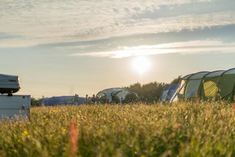 NonElectric Standard Grass Pitch