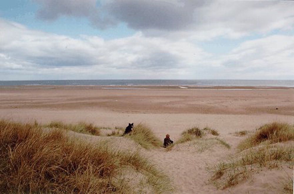 Kinshaldy Beach, St-Andrews | Cool Places