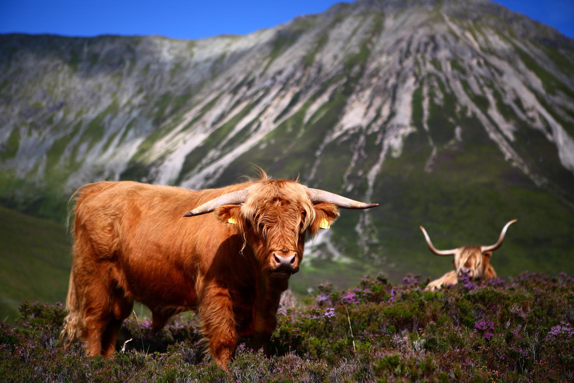 Campsites in the Highlands – Best Highlands Campsites