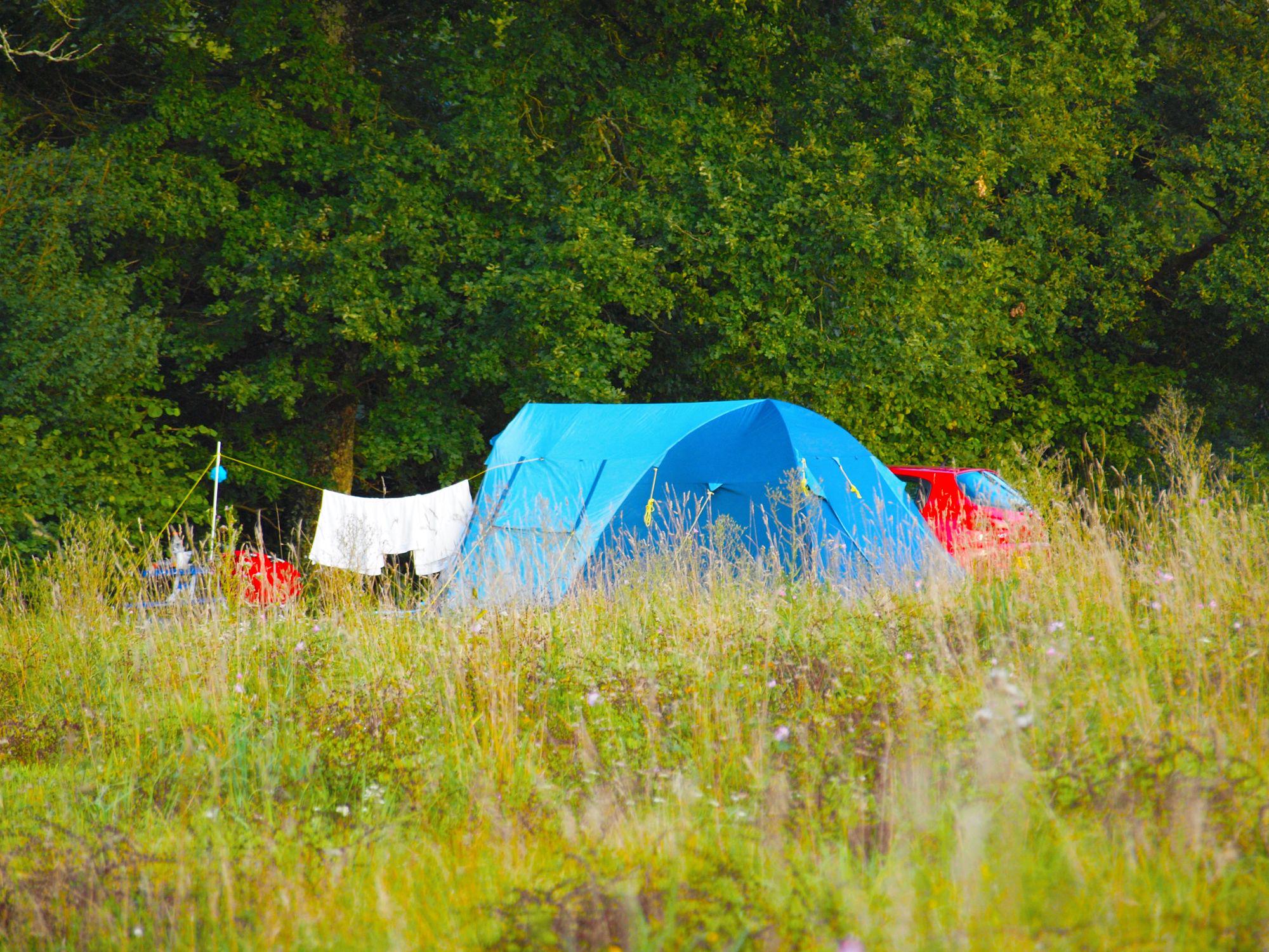 Camp Laurent