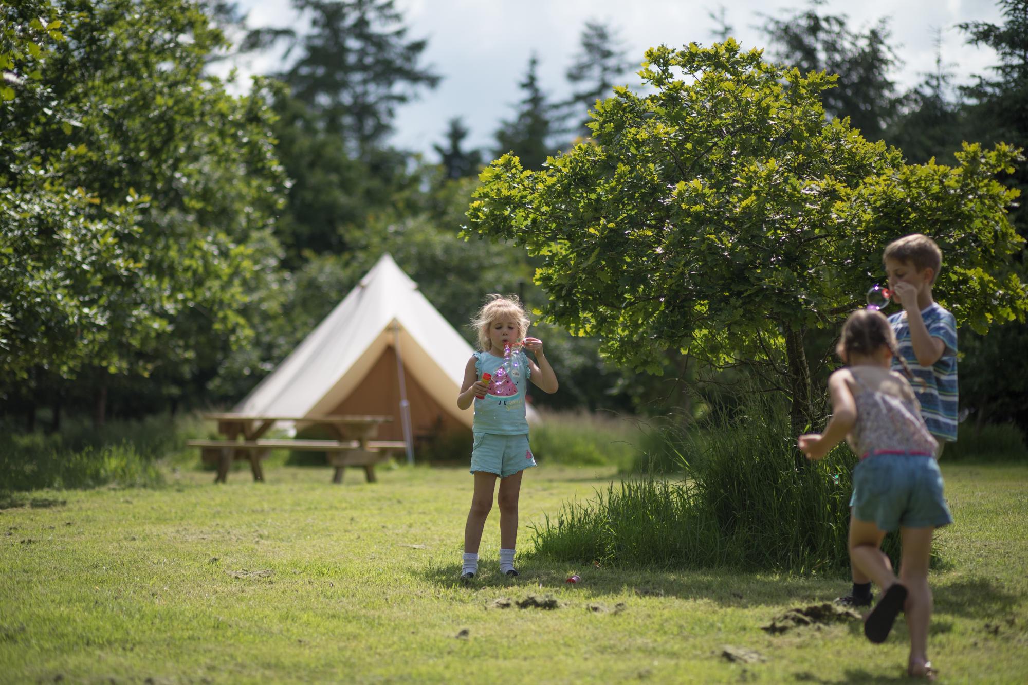 Car-Free Camping | Campsites With Car-Free Meadows