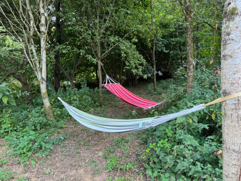Non-Electric Forest Tent Pitch