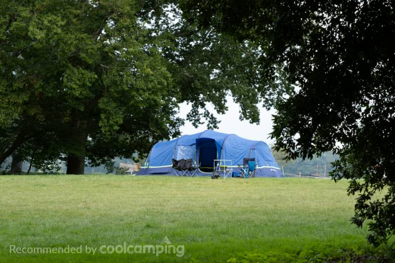 Grass Pitch