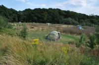 Meadow Camping Pitch