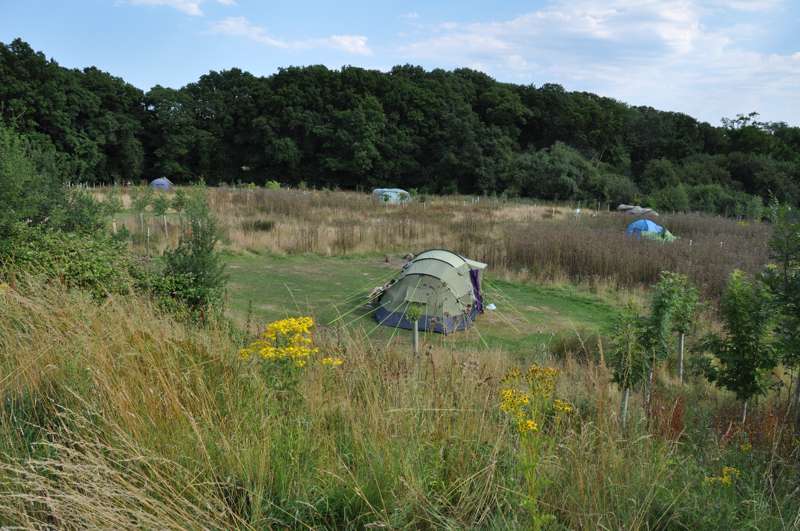 Meadow Camping Pitch