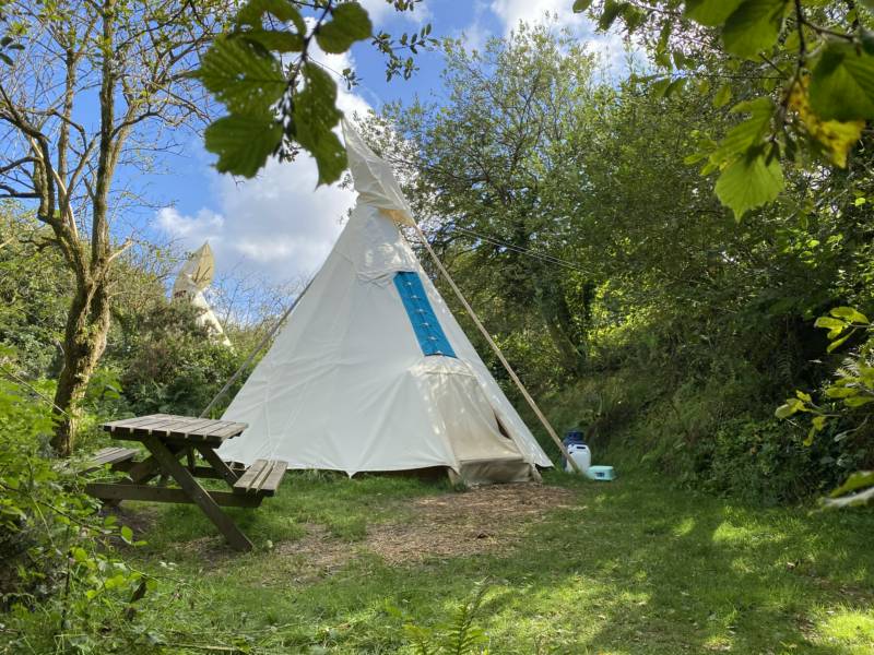 Jackies Medium - Medium Tipi - Private Site
